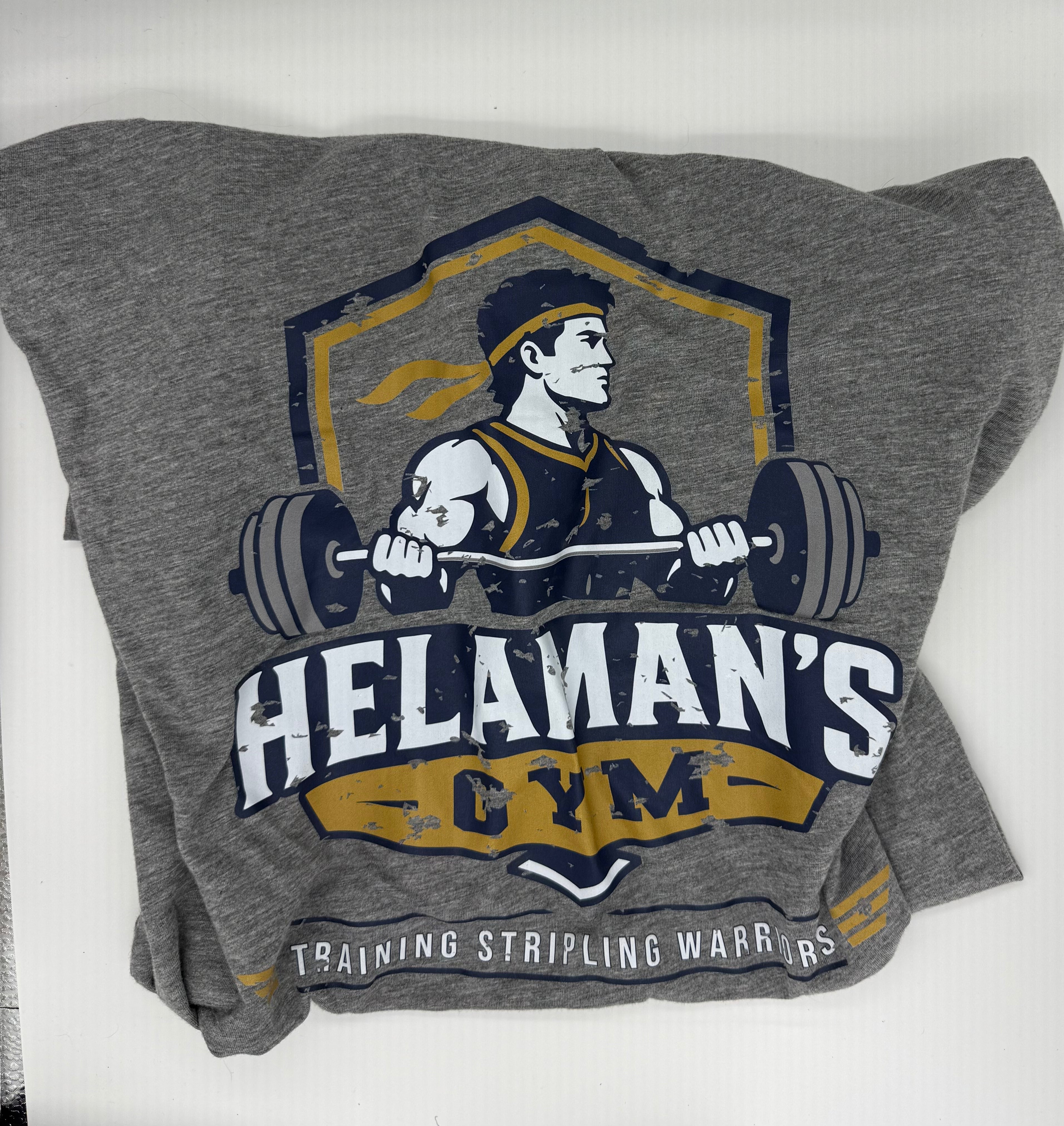 Helaman’s Gym - Training Stripling Warriors - Small Front and Large Back Graphic Tee